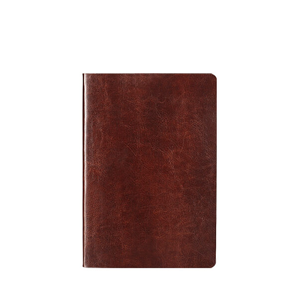 ALAMO, notes a5, braon